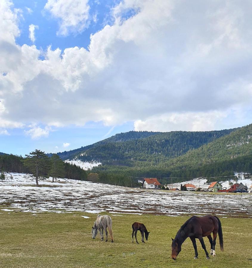 Vila Jela Tornik Zlatibor Exterior foto