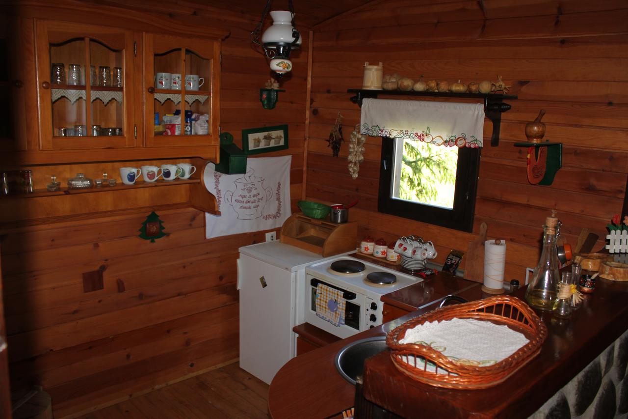 Vila Jela Tornik Zlatibor Exterior foto
